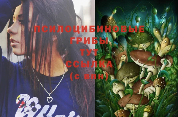 гидра Гатчина