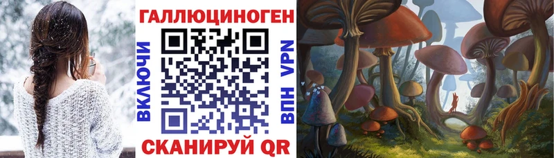 Псилоцибиновые грибы мицелий  что такое   Кировск 